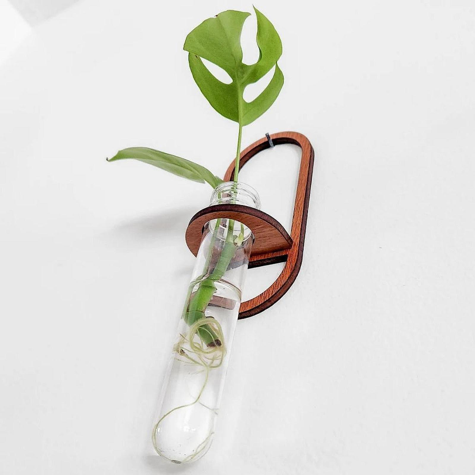 Propagation Station Vase - Hydroponische Pflanzenvase, Holz-Wandregal, Pflanzgefäß, Reagenzglas-Veredelungsstation für