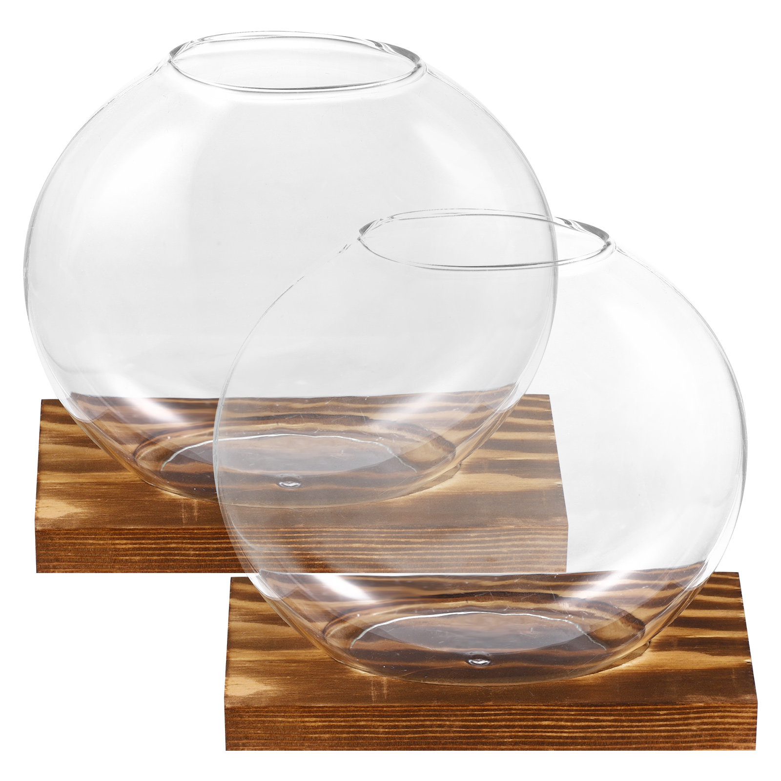 2 Sets kleine Glasvase für Pfl – Propagation Station Vase Bewertung und Preis